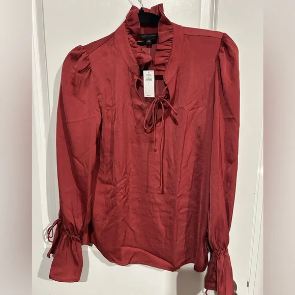 Brand new rose pink silk blouse with ties on neck and sleeves! - Picture 1 of 3